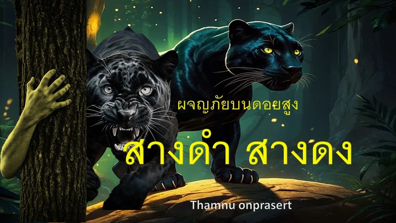 ๑๖๓.สางดำสางดง ผจญภัยบนดอยสูง