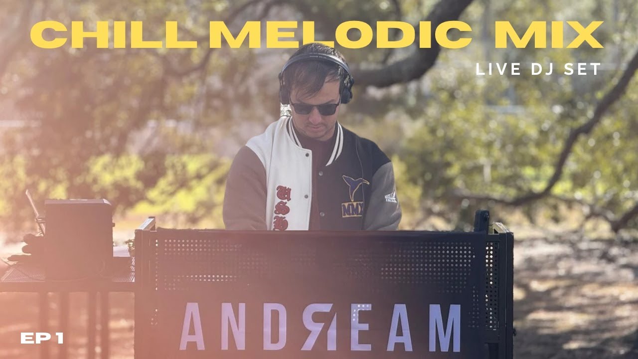 Chill Melodic House Mix | Alok, Tiesto, John Summit, Gryffin, Martin Garrix, Diplo, Robin Schulz