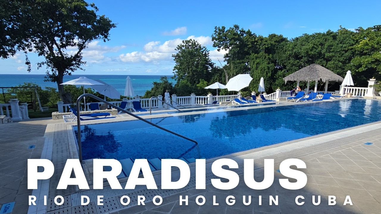 Обзор Королевской службы Paradisus Río de Oro | Лучший курорт «все включено» только для взрослых ...