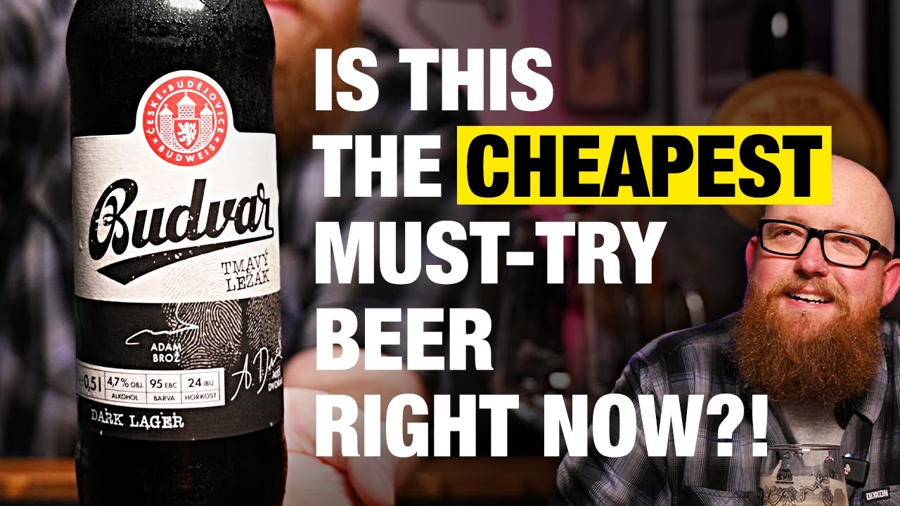 Budvar Dark Lager: Is this the BEST BEER? (For the price)