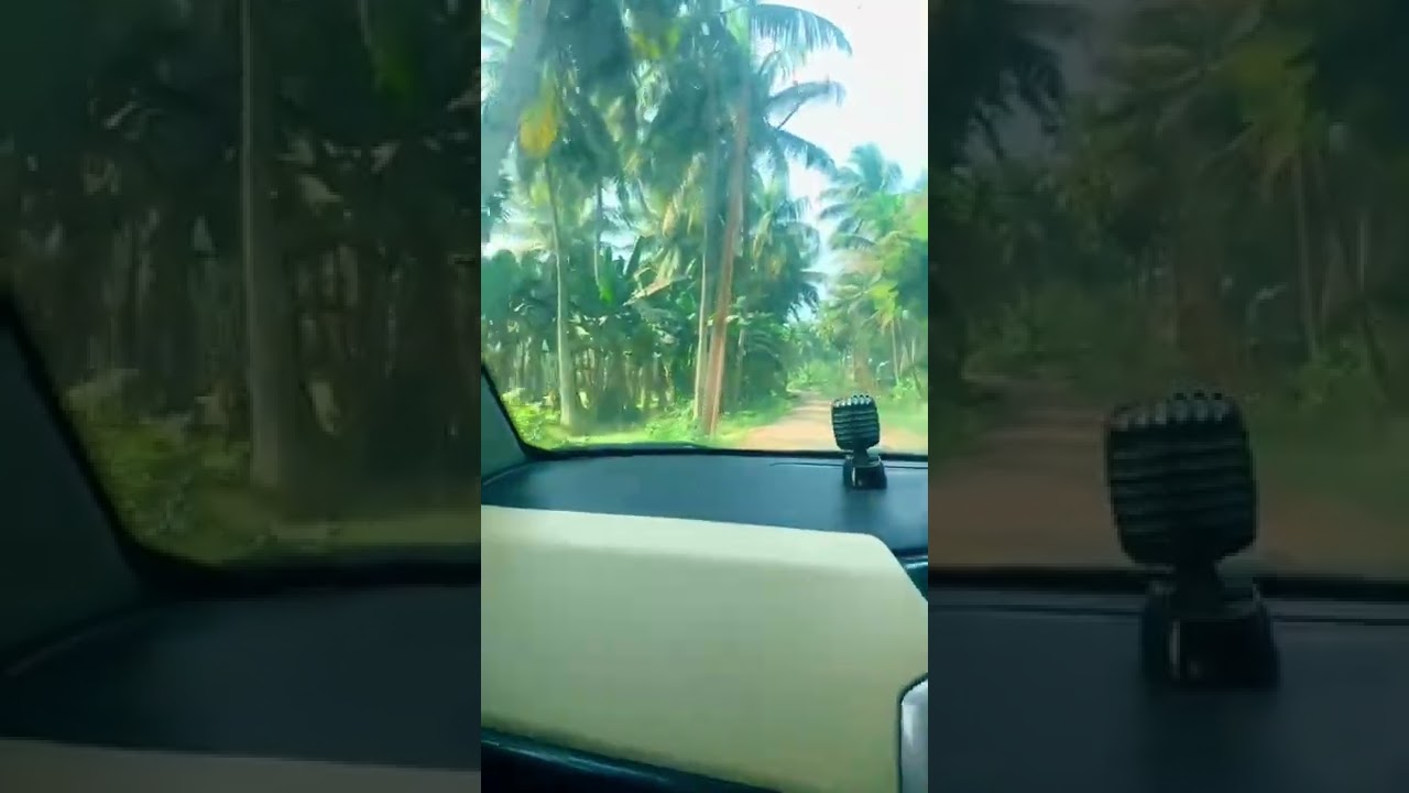 నేను india కి వెళ్ళినపుడు
