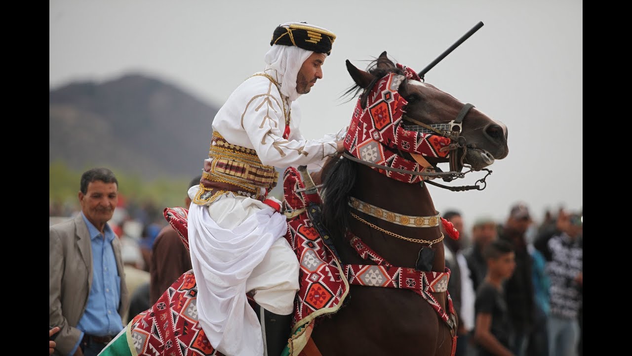 مهرجان الفروسية بقلعة سنان 