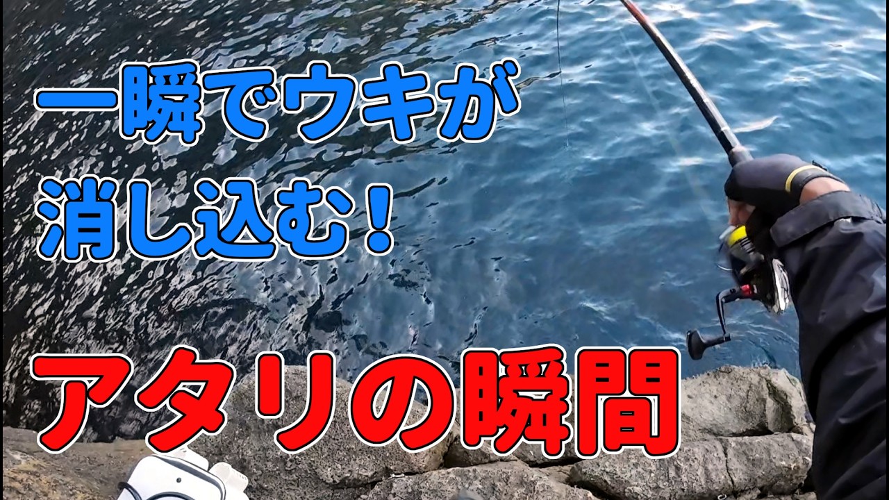 一瞬でウキが消し込む！アタリの瞬間がたまらない（グレ釣り・フカセ釣り）