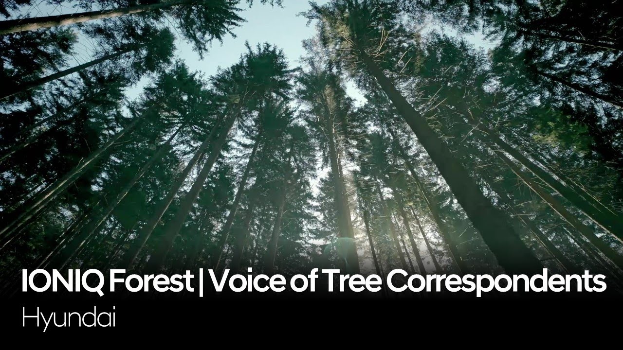 Hyundai IONIQ Forest | Voice of Tree Correspondents