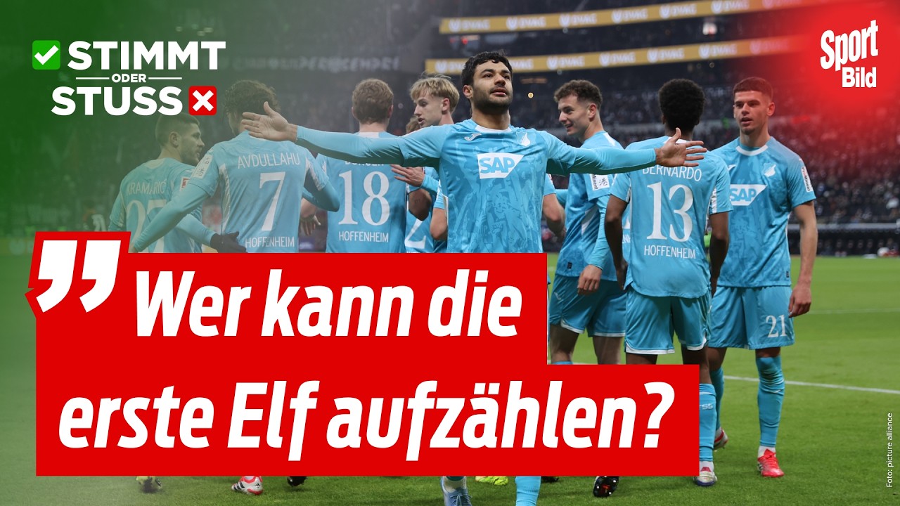 Ist Hoffenheim der verrückteste Klub der Bundesliga? | Stimmt oder Stuss