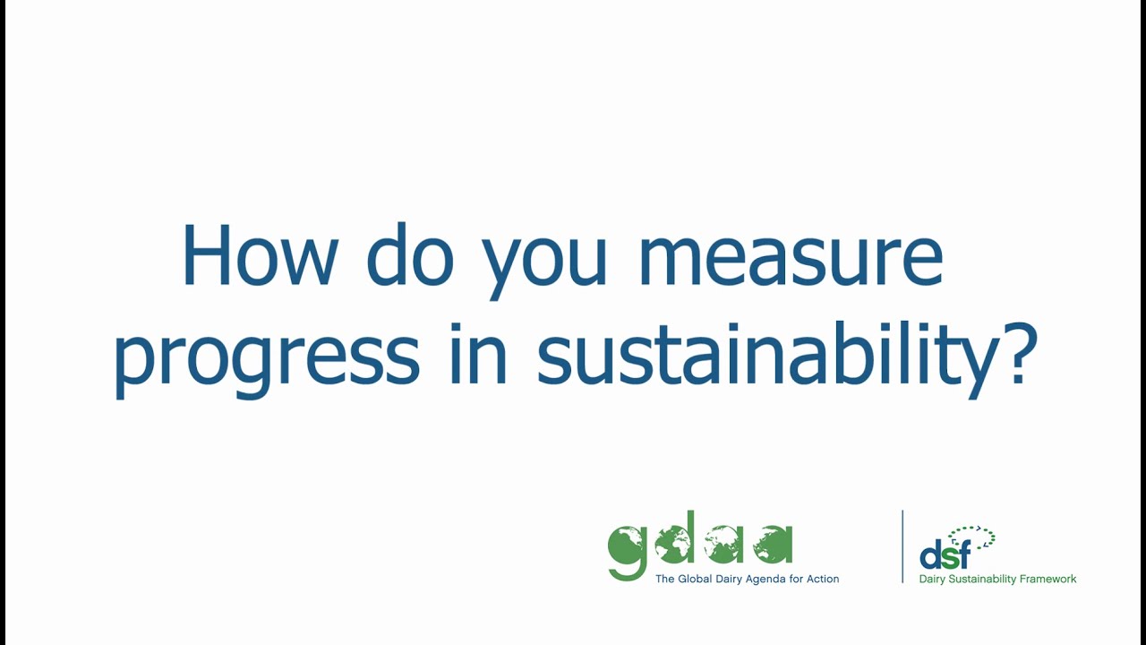 How do you measure progress in sustainability