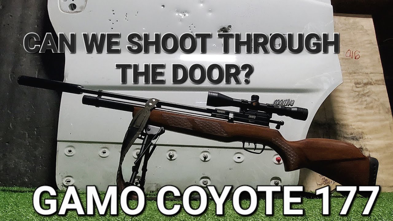 Gamo Coyote 177 AIR RIFLE Penetration Test 