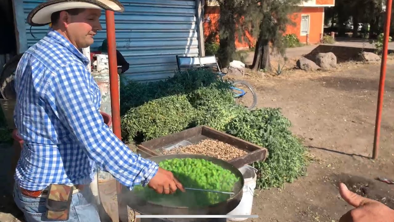 Guasanas o garvanzas en Tototlan Jalisco mis respetos para estas señoras trabajadoras ejemplo vida