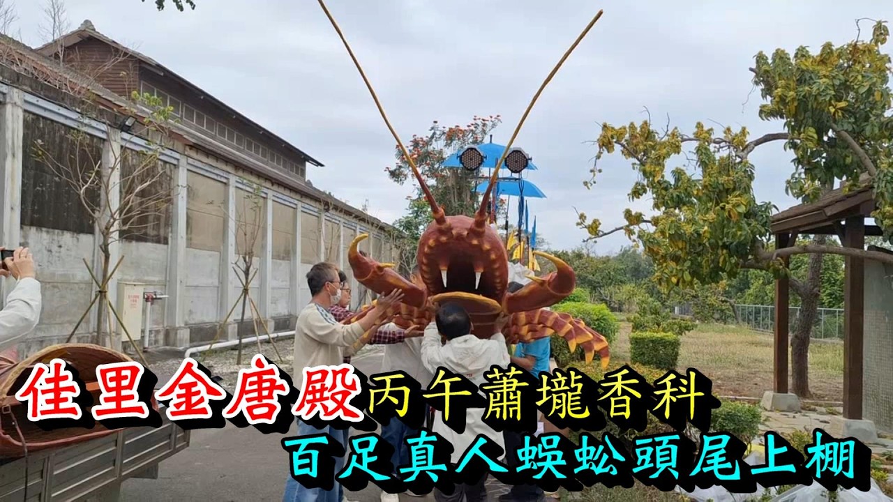 20260304 [百足真人蜈蚣頭尾上棚] 佳里金唐殿蕭壠丙午香科