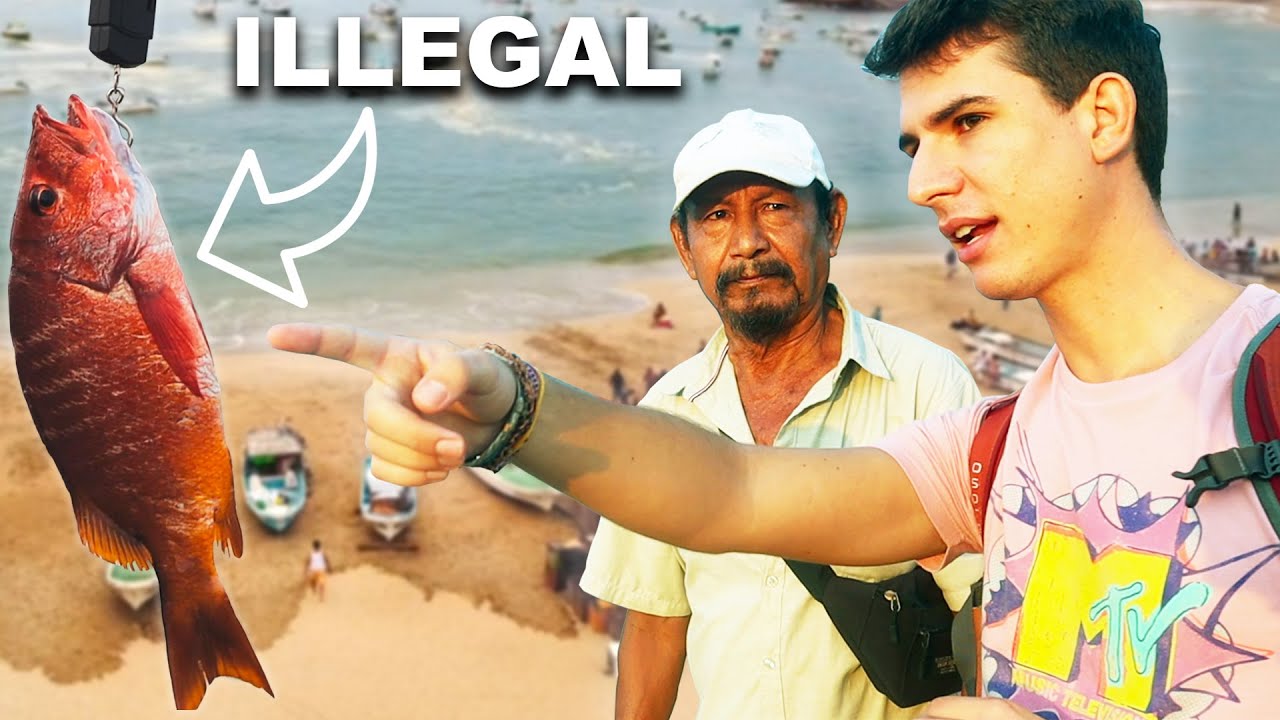 The Dark Truth About Overfishing in Mexico