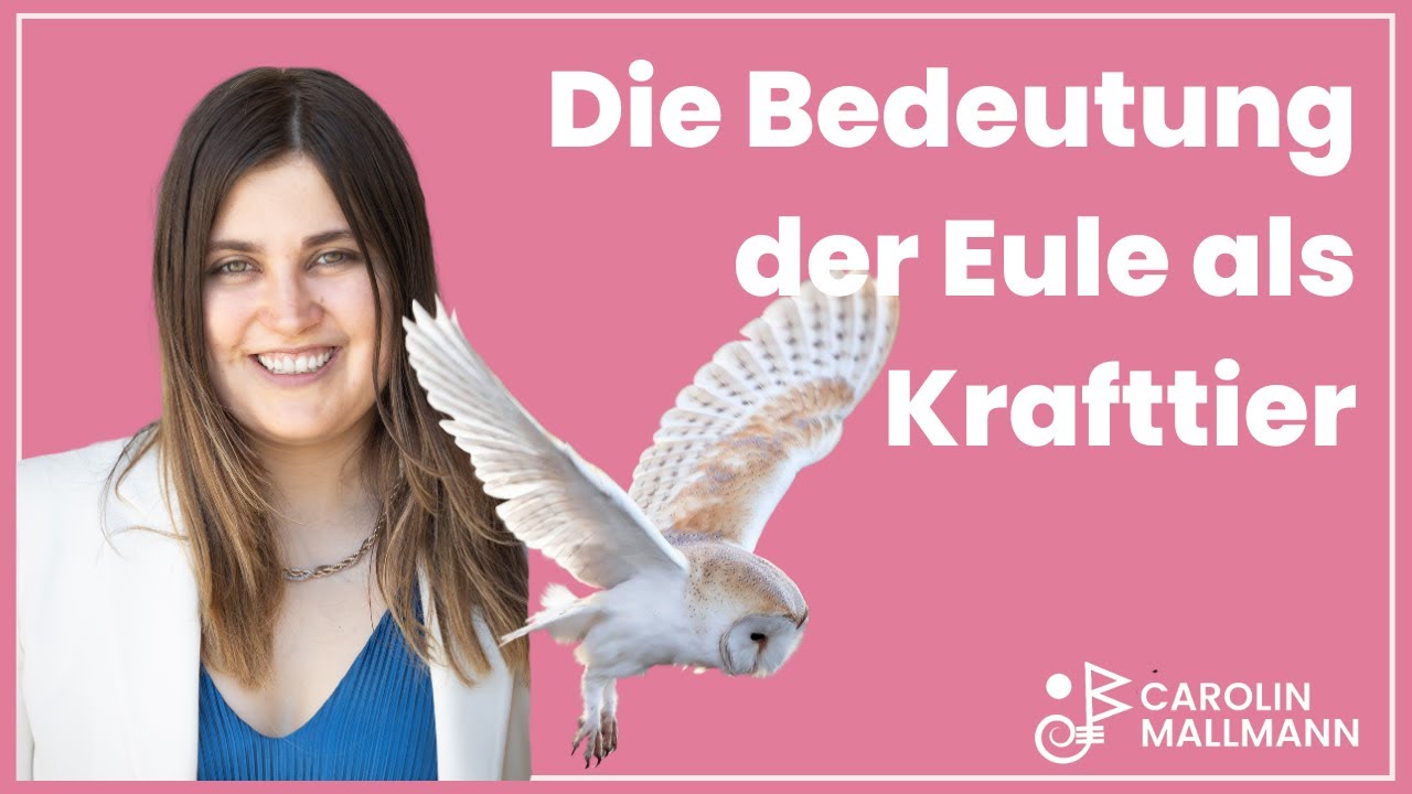 Krafttier Eule: Die, die in der Dunkelheit sieht