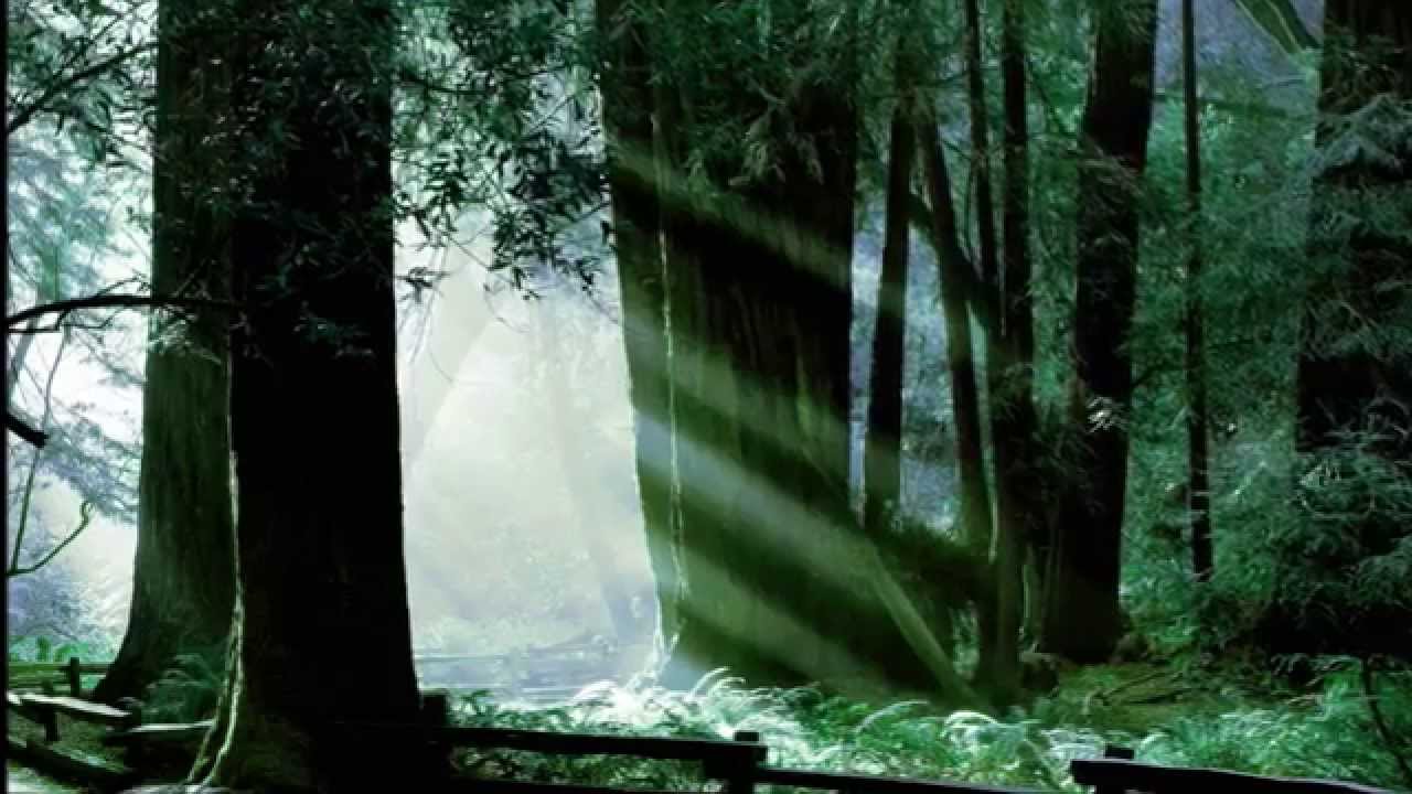 FF6 Orchestral Remix: The Mystical Phantom Forest