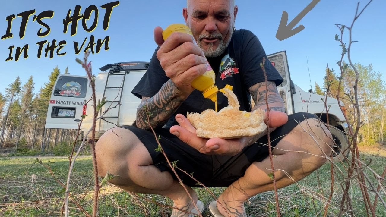 MUSTARD SANDWICHES Let’s Go!!!! VAN LIFE IN THE HEAT