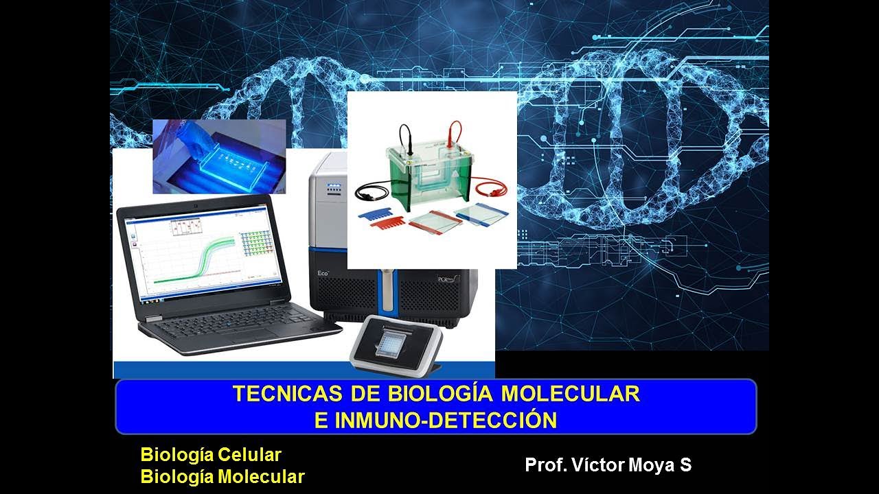 Técnicas de Biología Molecular e Inmunodetección