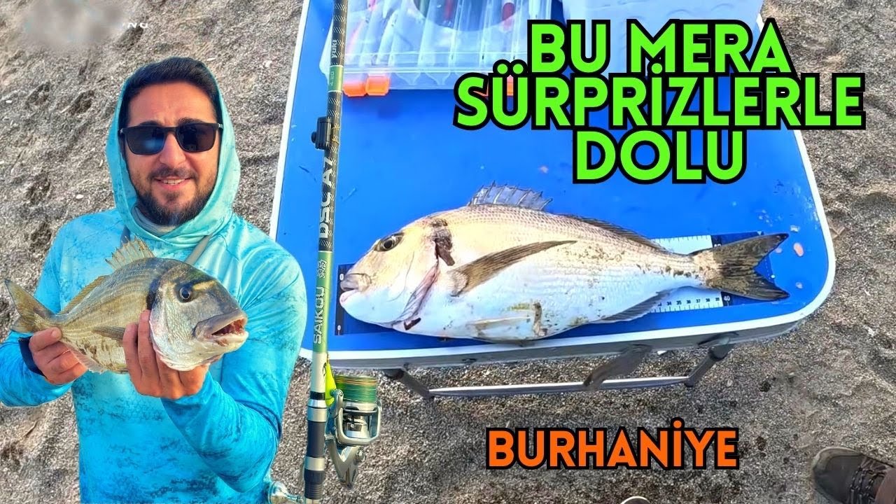BURHANİYE ÇUPRA AVI | CANLI YEM MAMUN İLE ÇUPRA SARGOZ  #fishing #surfcasting #balıkavı