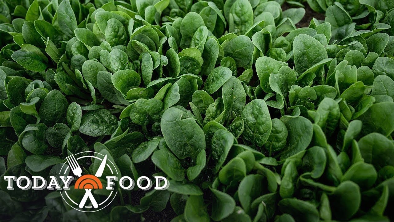 Reduce your salt intake with these superfood swaps