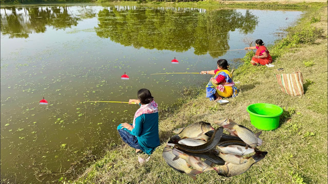 Fishing Video || Traditional three fisherman is fishing in the village pond || Amazing hook fishing