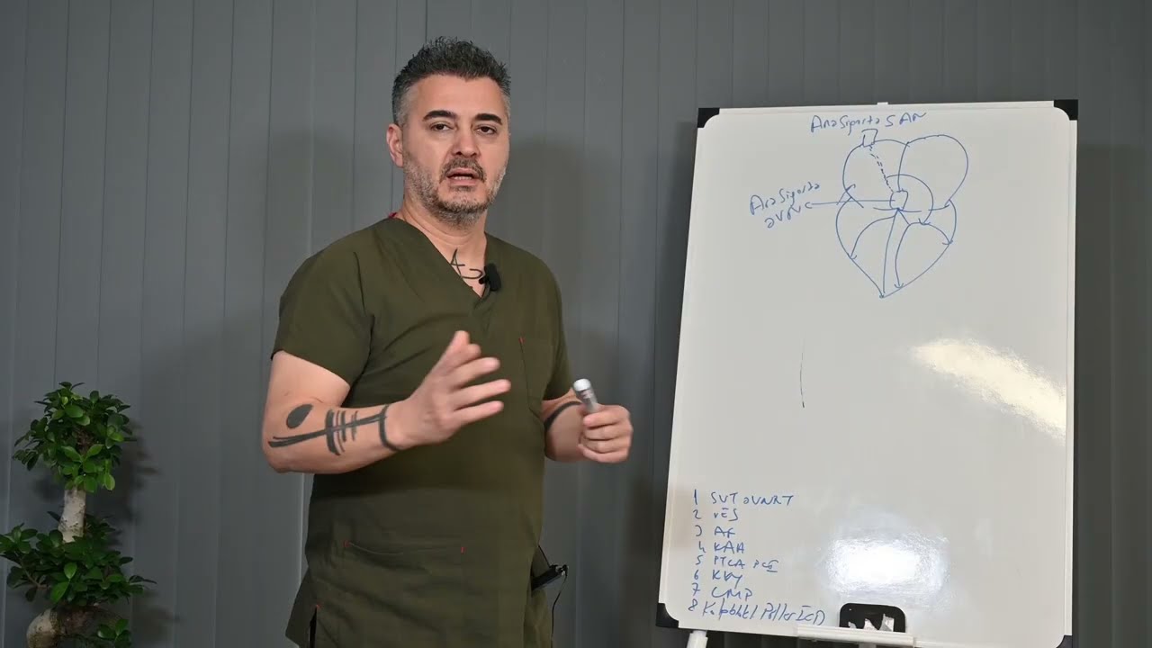 Kalp çarpıntısı ile ilgili tedavi bilgileri - Bölüm 2