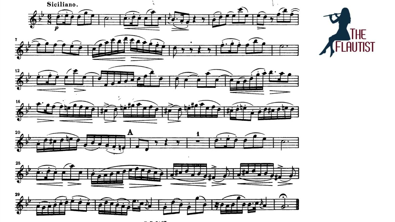 Siciliano -Sonata in E Flat Major BWV 1031 -J.S.Bach The Flautist Eileen Gilligan
