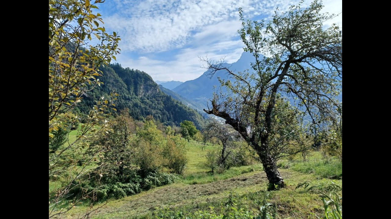 Karni Alpok _ Noale _ 2021.09.08
