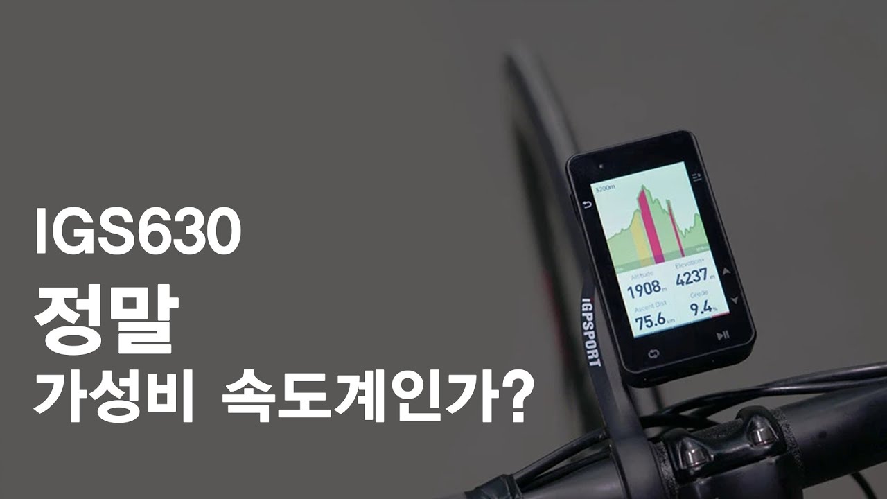 요즘핫하다는 가성비 속도계 ... 이게 진짜 가성비??