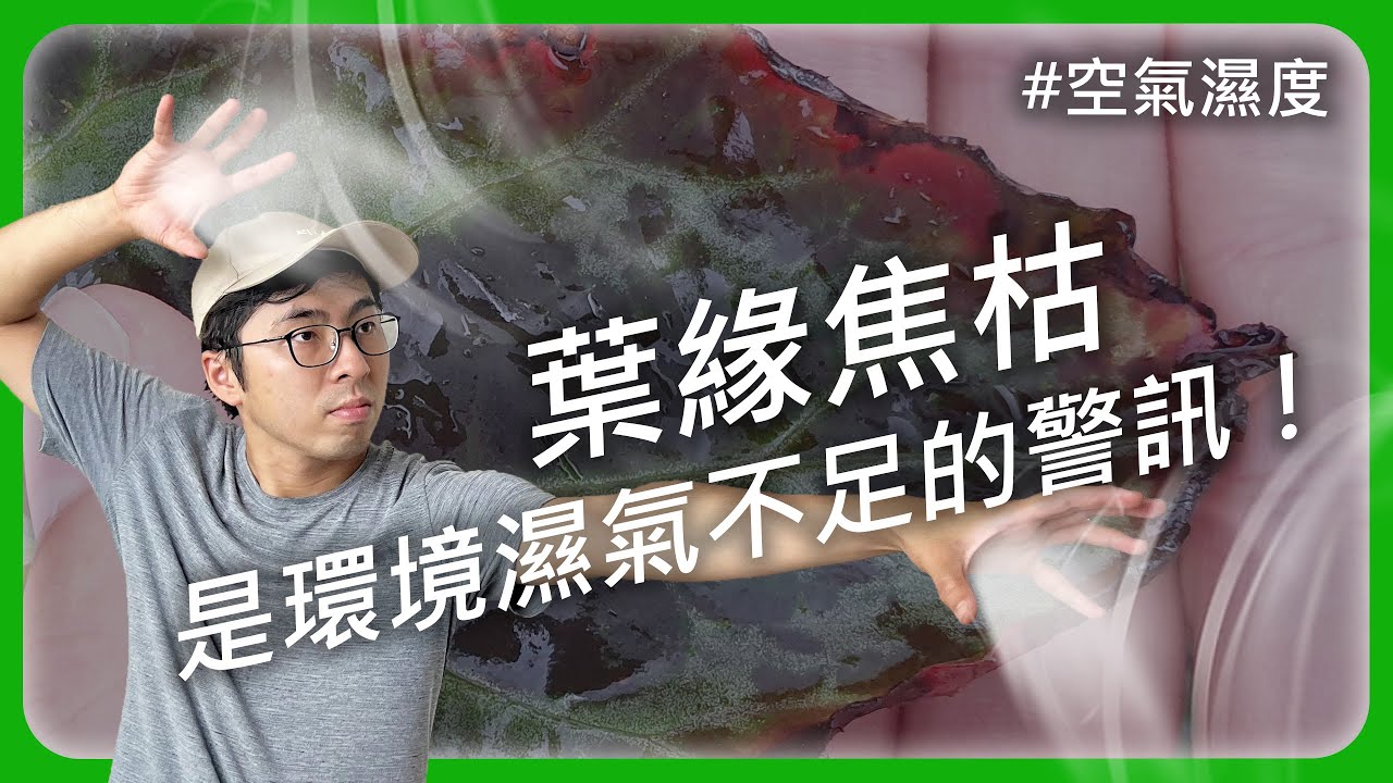 濕氣沒有70%就太乾了?! 5招解決空氣濕度不足的問題！ 