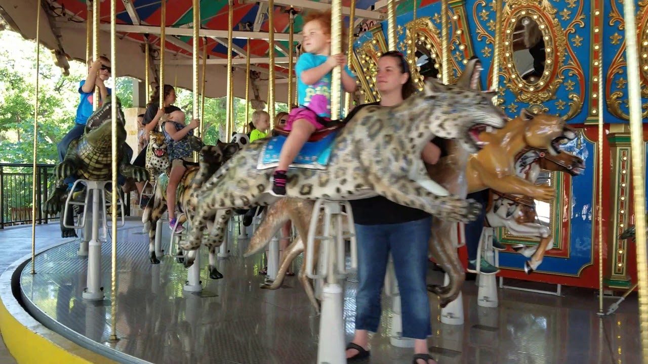 San Antonio Zoo 2017