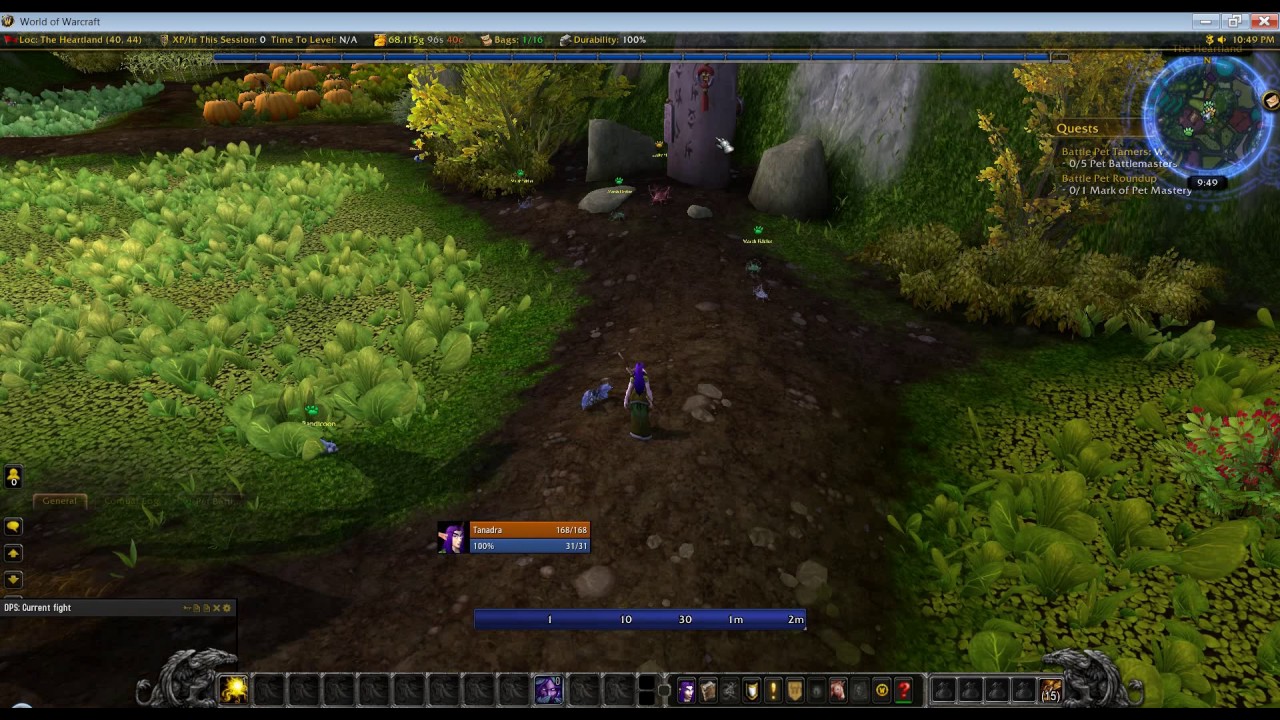 How to level battle pets in Mists of Pandaria- World of Warcraft