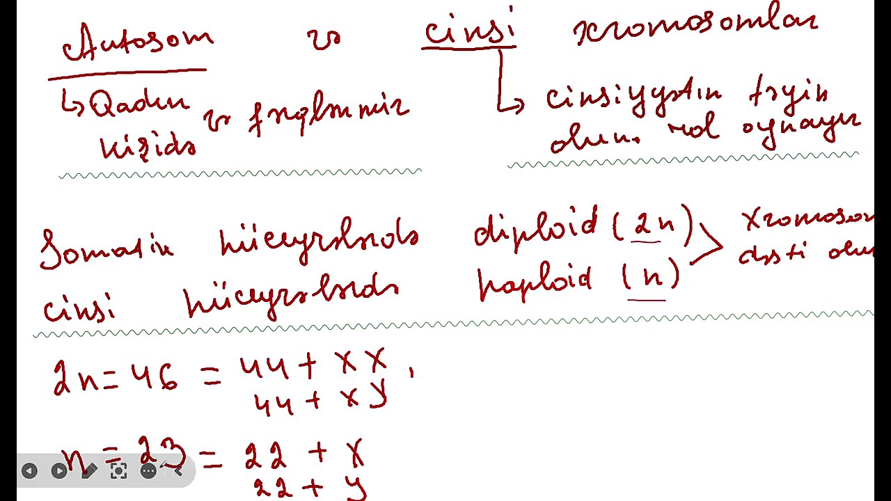 &Ccedil;oxalma ontogenez.Xromosomlar.Homoloji xromosomlar.Xromosom m&uuml;xtəlifliyi