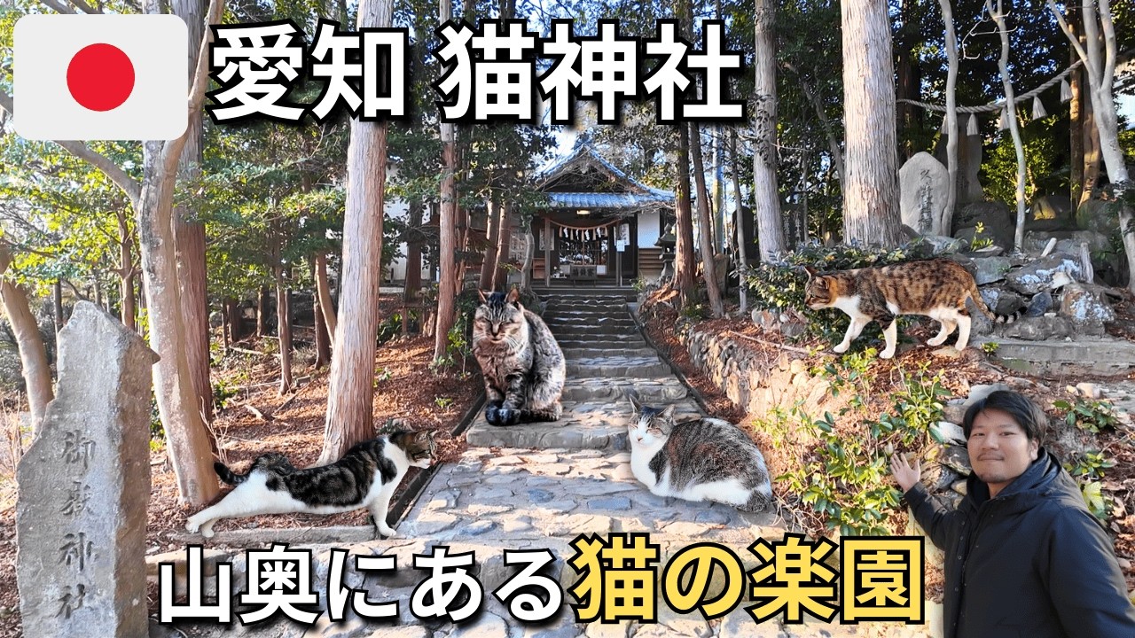 【愛知 猫神社】結局ここがNo 1。猫好きの聖地「玉野御嶽神社」がやっぱり最高すぎた