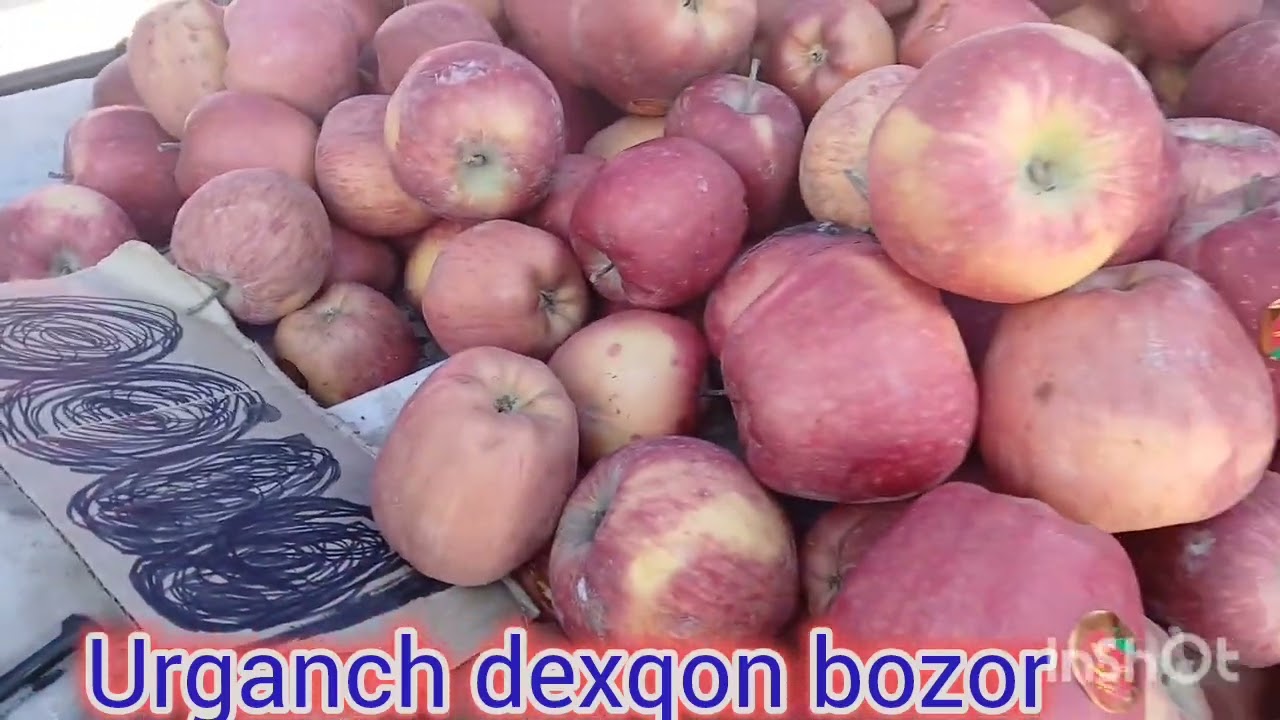 Urganch dexqon bozor Meva sabzovot narxlari