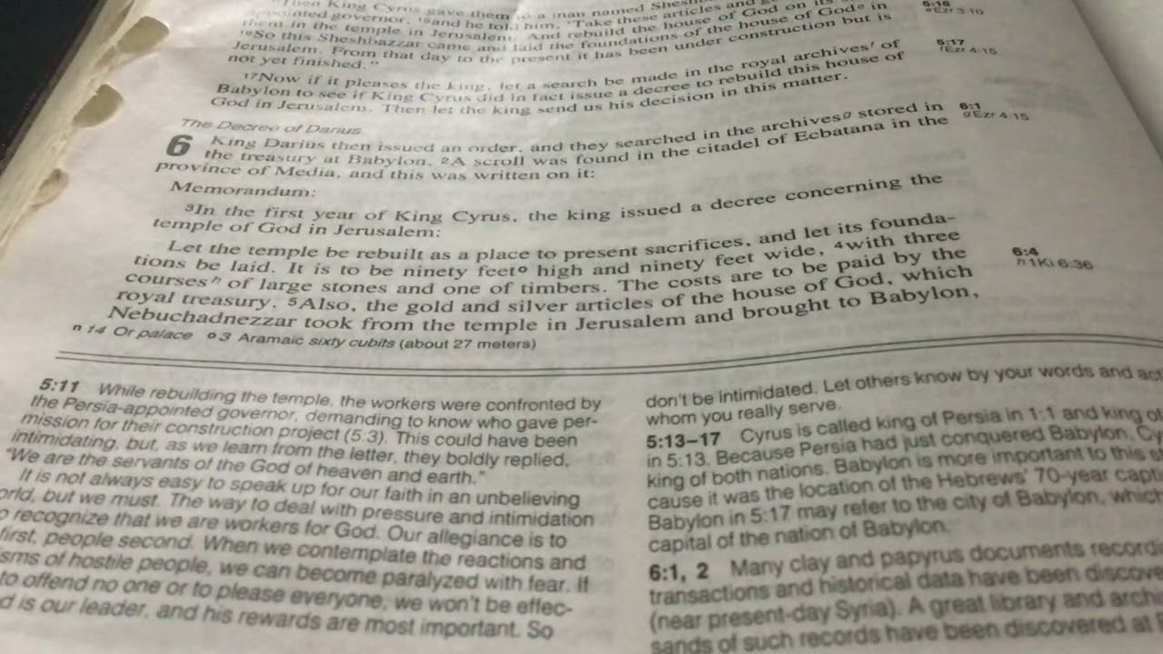 Ezra Chapter 6 (soft spoken) - NIV Version 📖