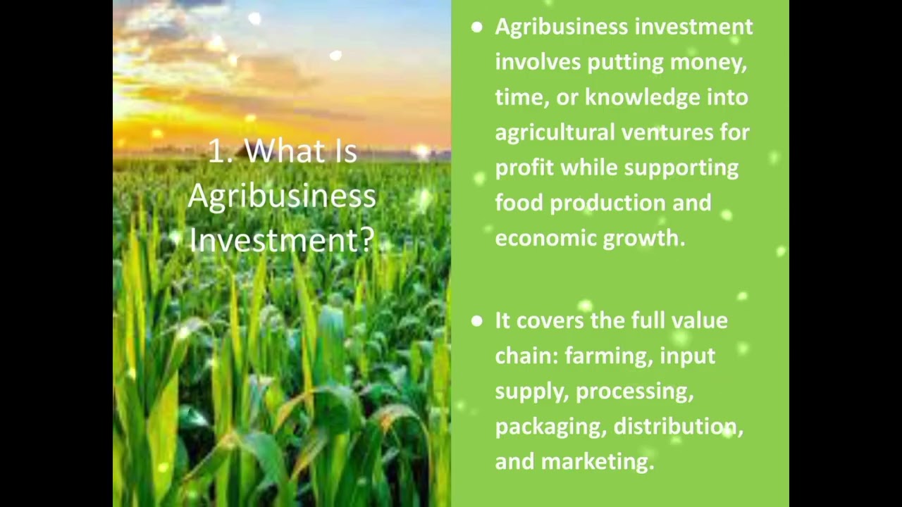 Free Agribusiness training#agribusiness