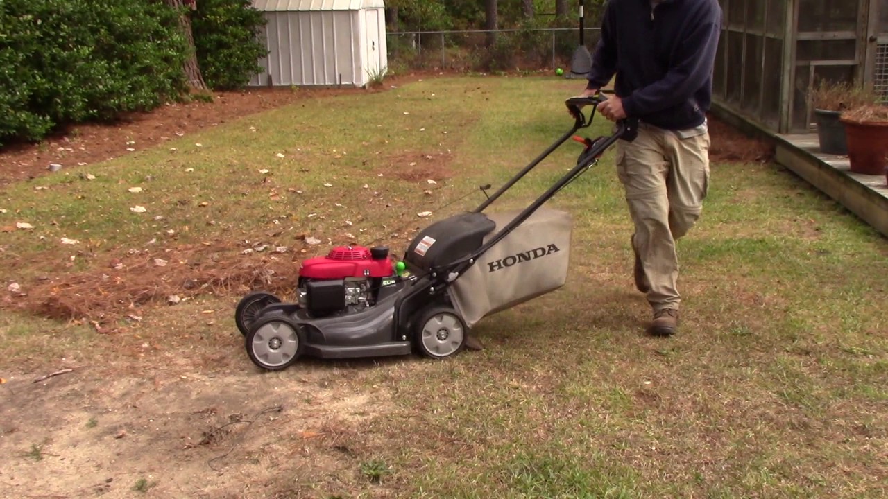 Honda HRX 217 bagging pine straw