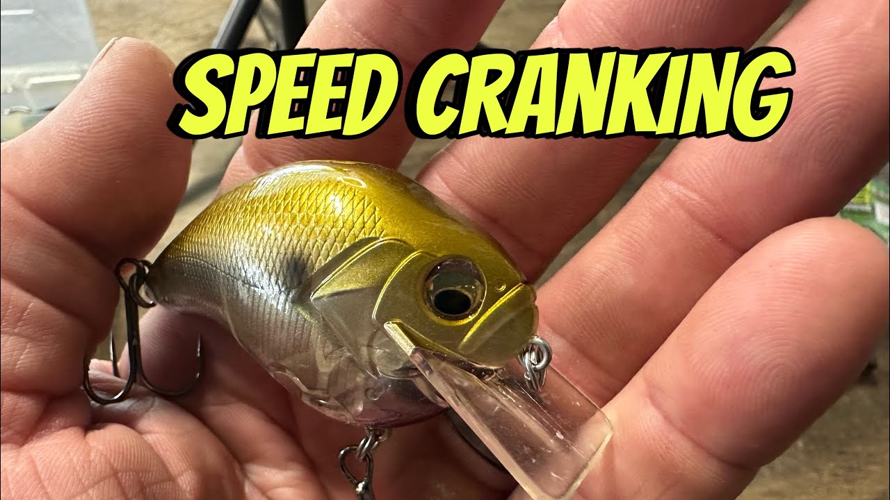 How To &ldquo;Speed Crank&rdquo; To Trigger Inactive Summer Bass&hellip;