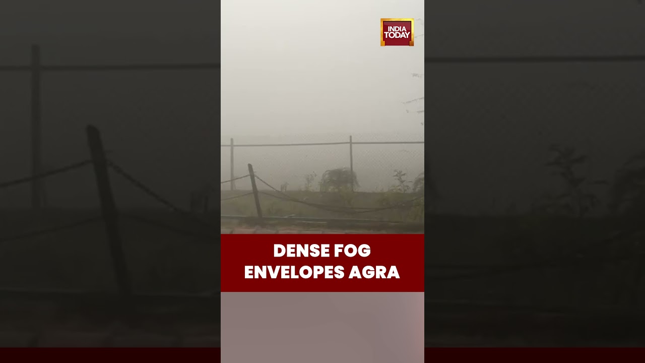Taj Mahal Disappears Behind The Fog | Agra News | Winters | Weather #fog #agranews #weatherupdate