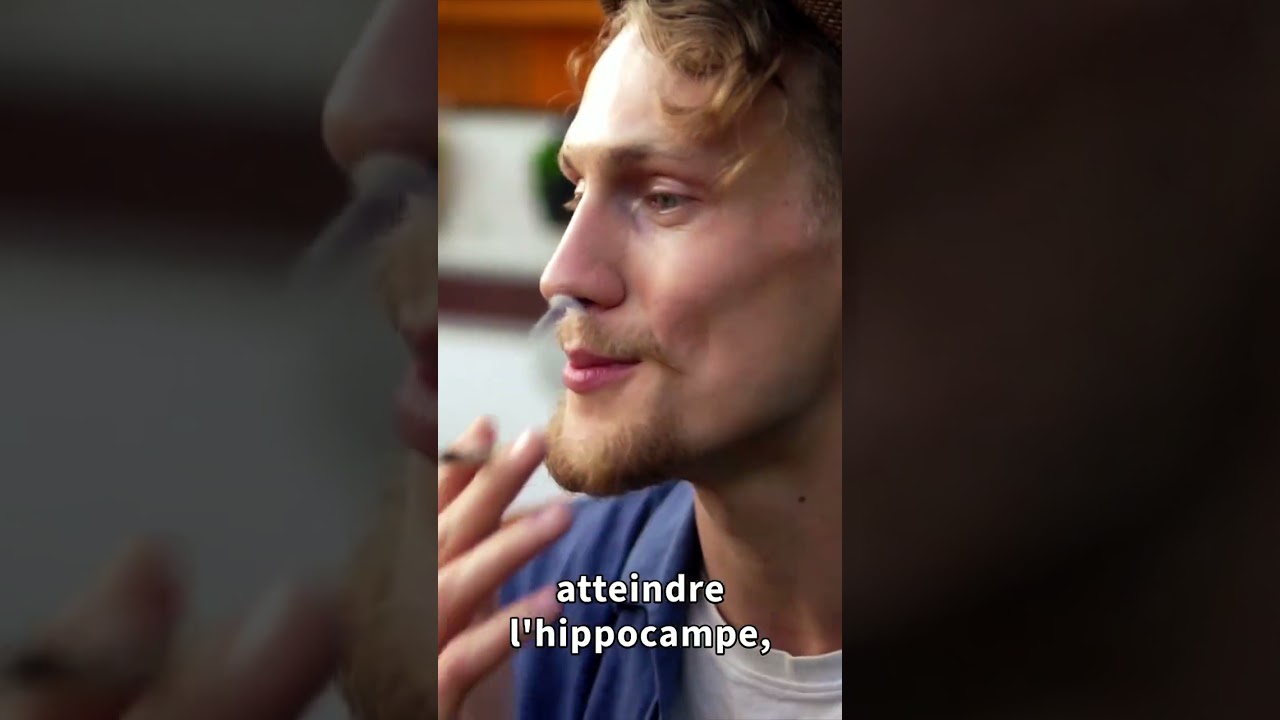 Le cannabis est-il aussi inoffensif qu&rsquo;il en a l&rsquo;air ? 🤔