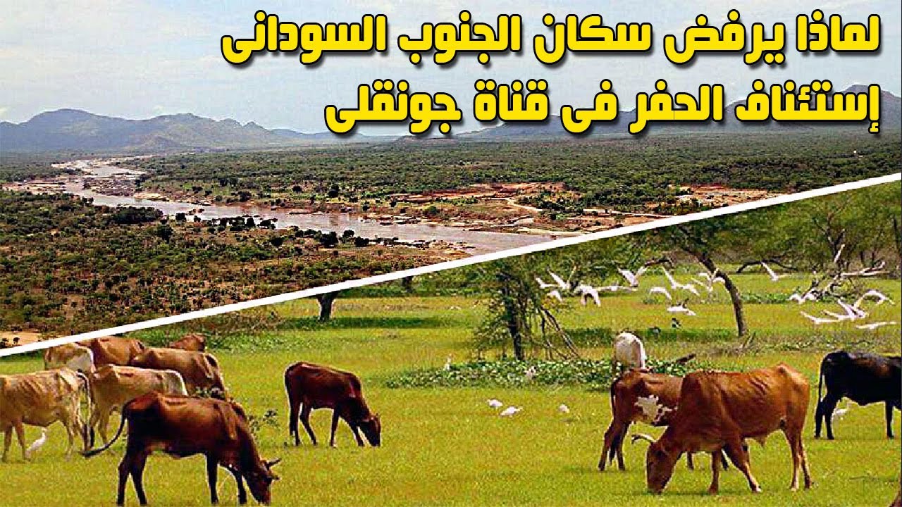 هل يوافق سكان الجنوب السودانى على إستئناف الحفر فى قناة جونقلى؟