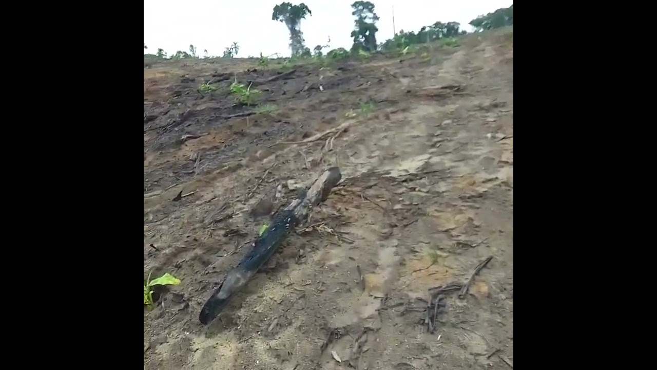 Novo ambiente a trabalho 