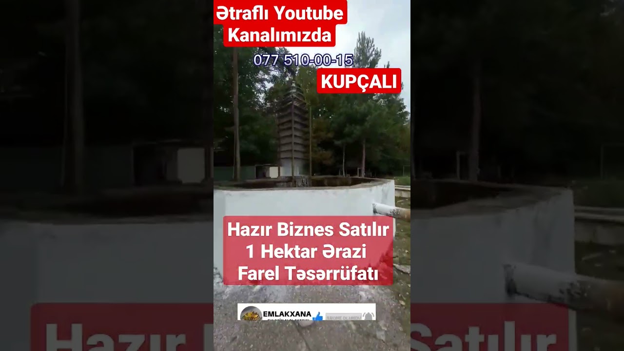 DƏYƏRİNDƏN AŞAĞI - NABRANDA HAZIR BİZNES SATILIR / FAREL YETİŞDİRİLMƏ TƏSƏRR&Uuml;FATI #obyekt  #biznes