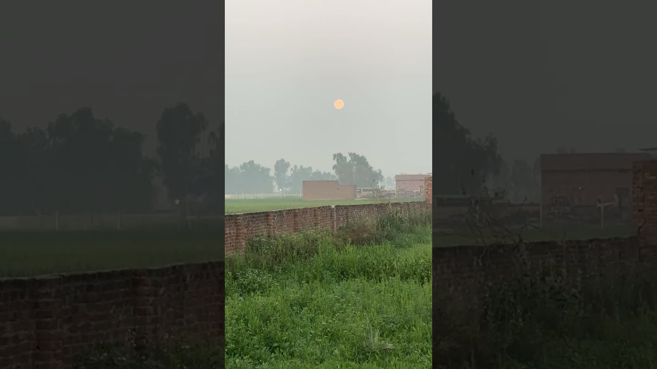 Morning walk in fields and feel nature beauty with rising sun and dew leaves.