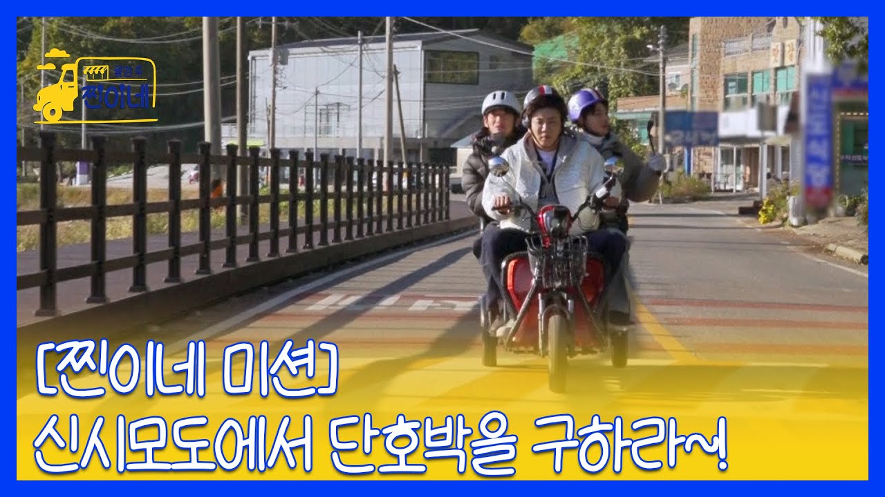 [찐이네 미션] 신시모도에서 단호박을 구하라~! MBN 251117 방송