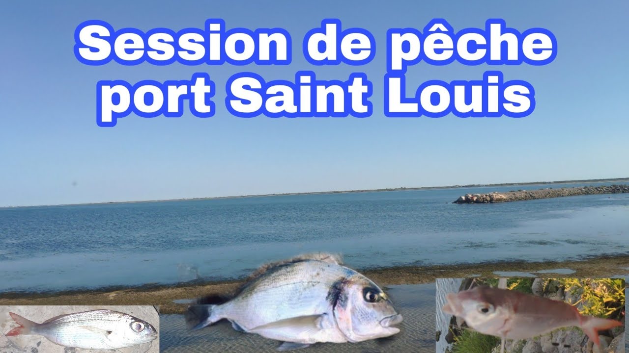 Session de pêche port Saint Louis (13) 😉