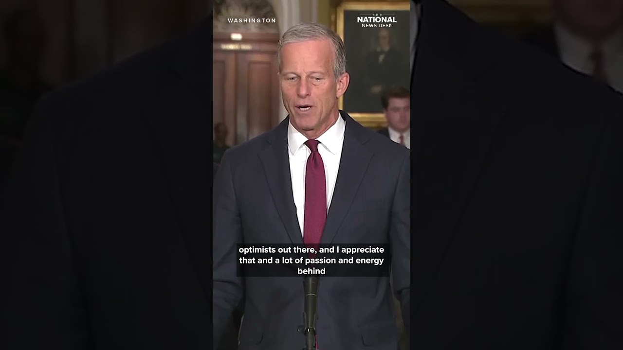 Thune says Republicans DON'T have votes to change filibuster and pass SAVE ACT