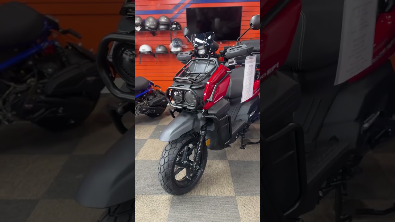 VITACCI TANK 200 EFI DELUXE MOTORCYCLE EFI AT THE DEALER WILD HOGS SCOOTERS IN WINTER PARK