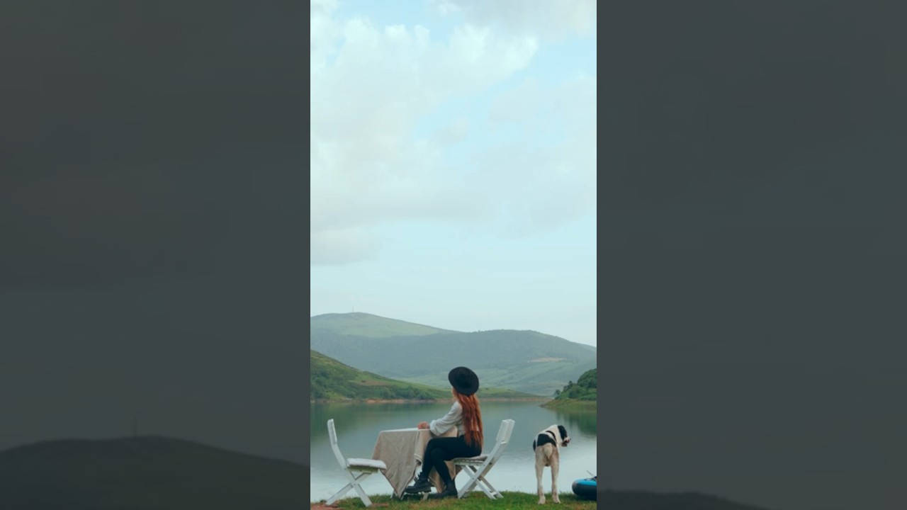 New Van Life Diary #vanlife #vanlifespain #shorts