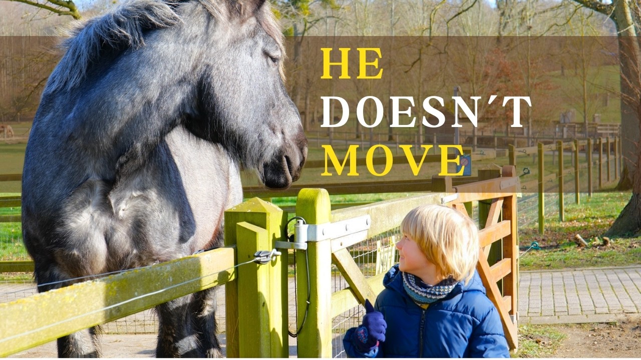 Why Do Horses Stand So Still? (Can They Sleep Like That?)