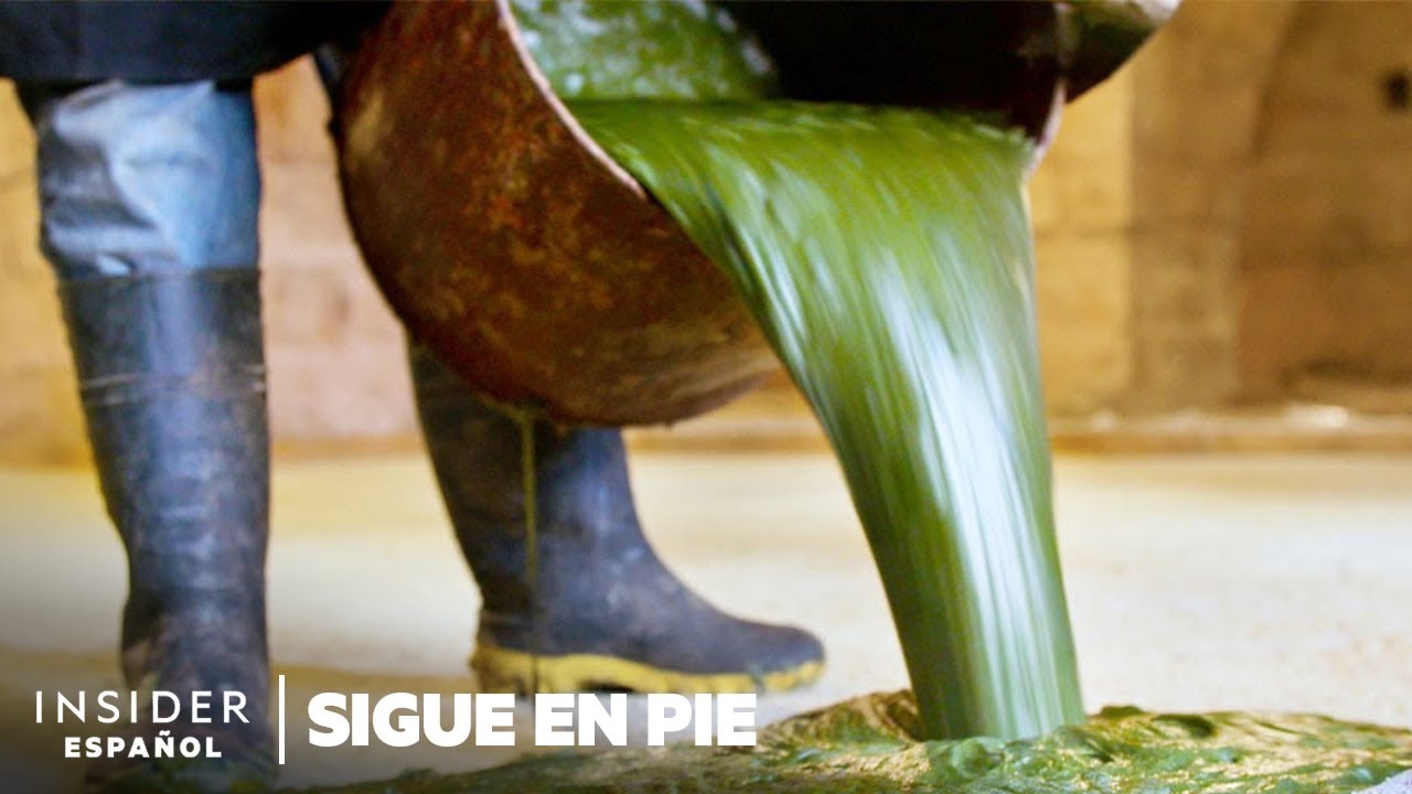 Cómo se fabrican 30.000 jabones de aceite de oliva en el Líbano | Sigue en pie | Insider Business