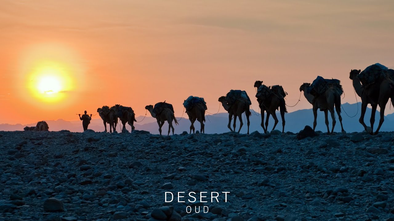 Desert Oud - Arabian Music - Meditation in Desert, Oasis of Eastern Dreams
