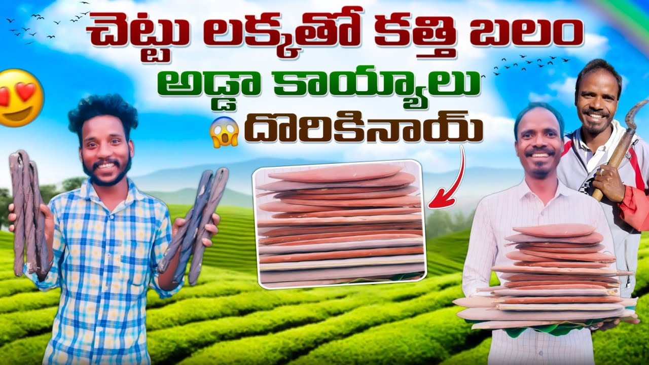 Sword strength with wood lacquer || చెట్టు లక్కతో కత్తి బలం || Life Of Green village 